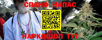 крисы Аргун