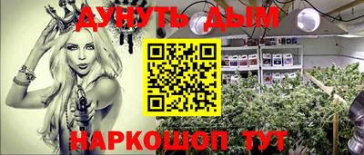 крисы Аргун