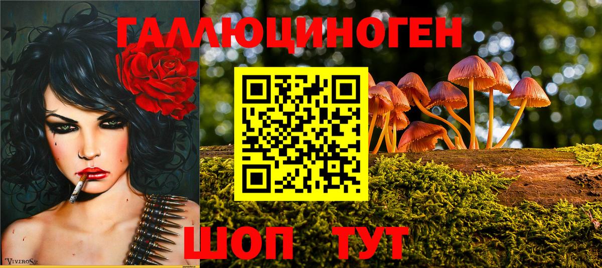 Тосно  Галлюциногенные грибы Magic Shrooms  Вход с VPN 