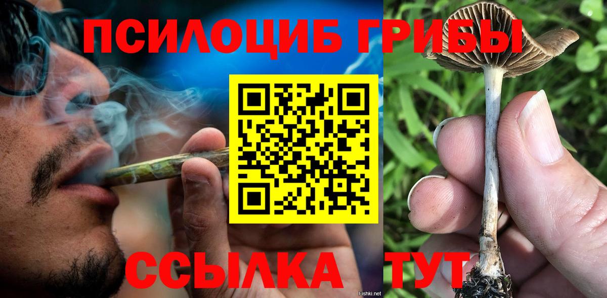 Псилоцибиновые грибы GOLDEN TEACHER Тосно